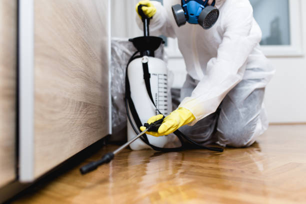 Best Cockroach Control Services  in Naco, AZ