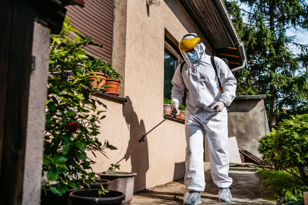 Flea Control Services in Naco, AZ