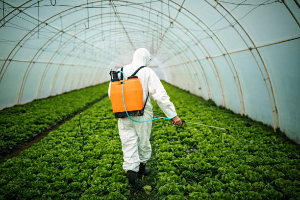 Best Pest Removal Services  in Naco, AZ